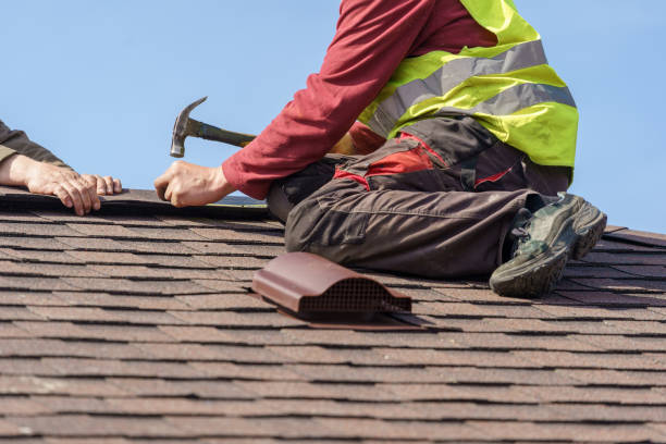 Best Roof Leak Repair  in Holualoa, HI