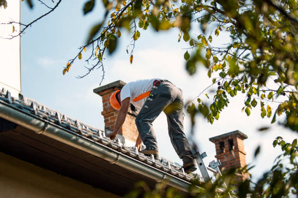 Best Roof Gutter Cleaning  in Holualoa, HI
