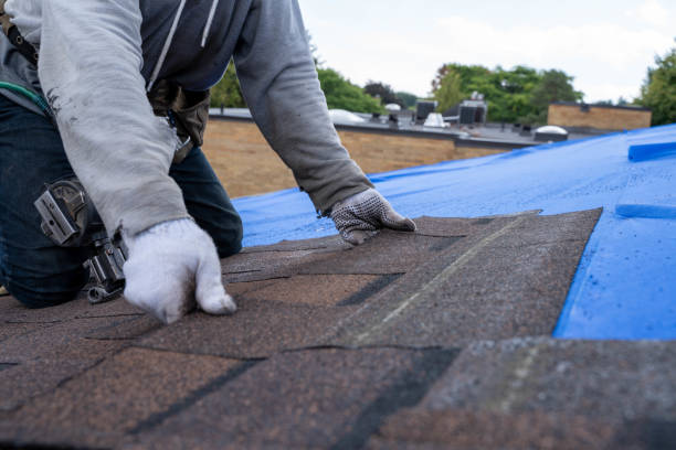 Quick and Trustworthy Emergency Roof Repair Services in Holualoa, HI