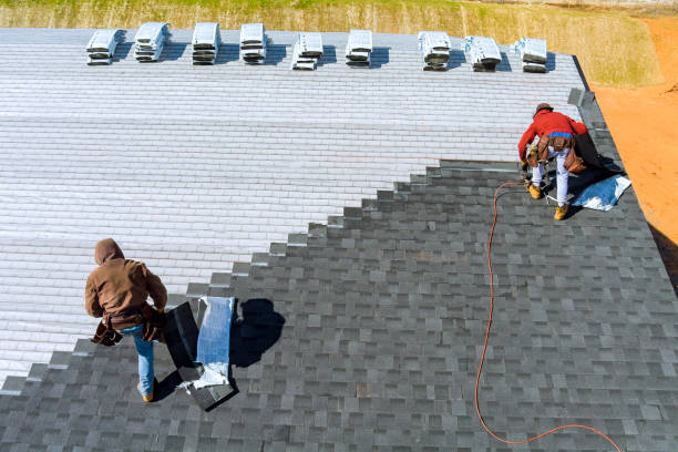 Best Local Roofing Companies  in Holualoa, HI