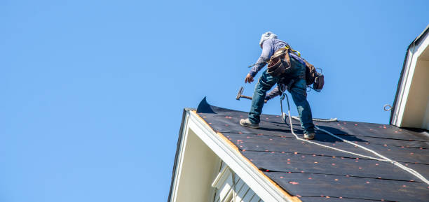 Best Shingle Roofing Installation  in Holualoa, HI